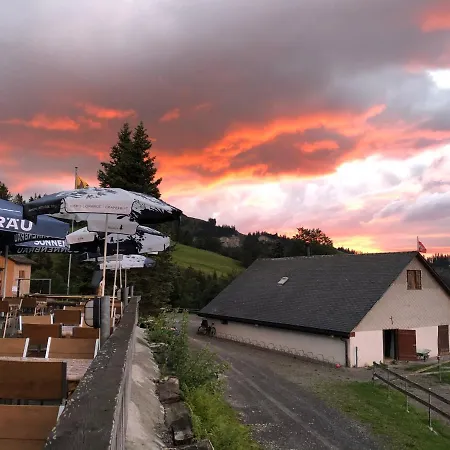 Montlinger Schwamm *