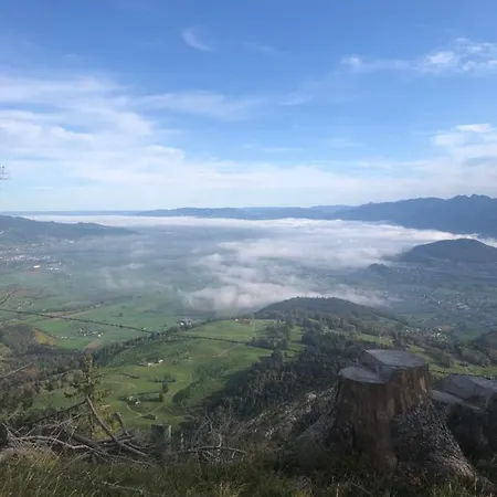 Montlinger Schwamm Oberriet