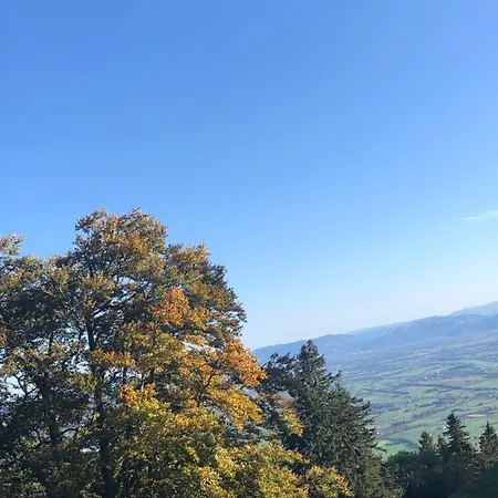 Montlinger Schwamm * Oberriet